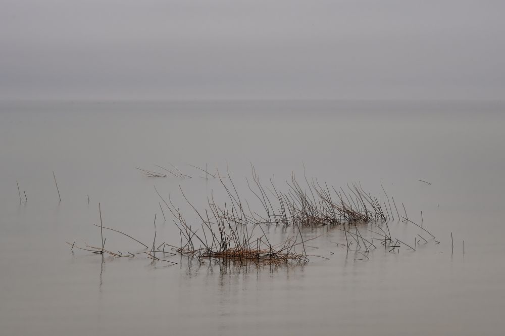 Photograph by Алексей Вагин