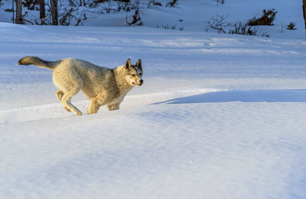 Photograph by Галина Искандарова