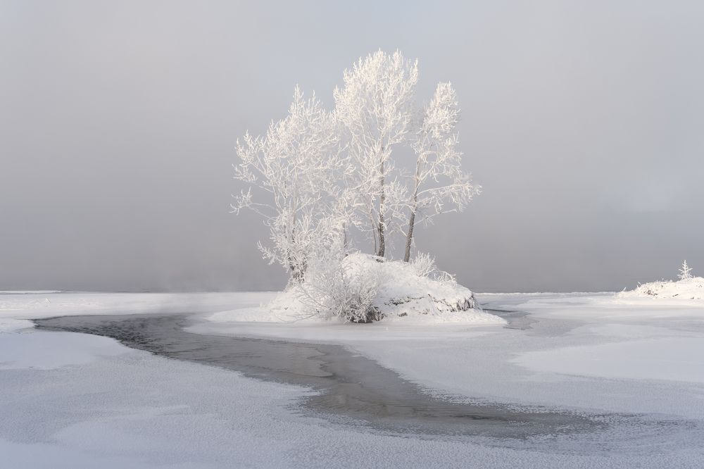 Photograph by Дубровская Екатерина