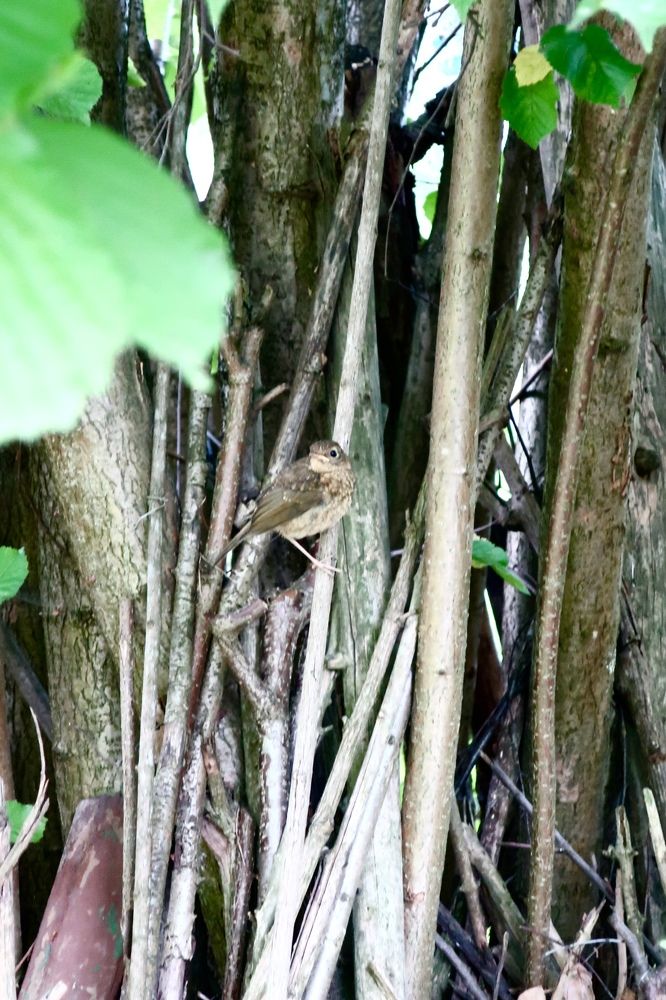 Photograph by Надежда Ткаченко