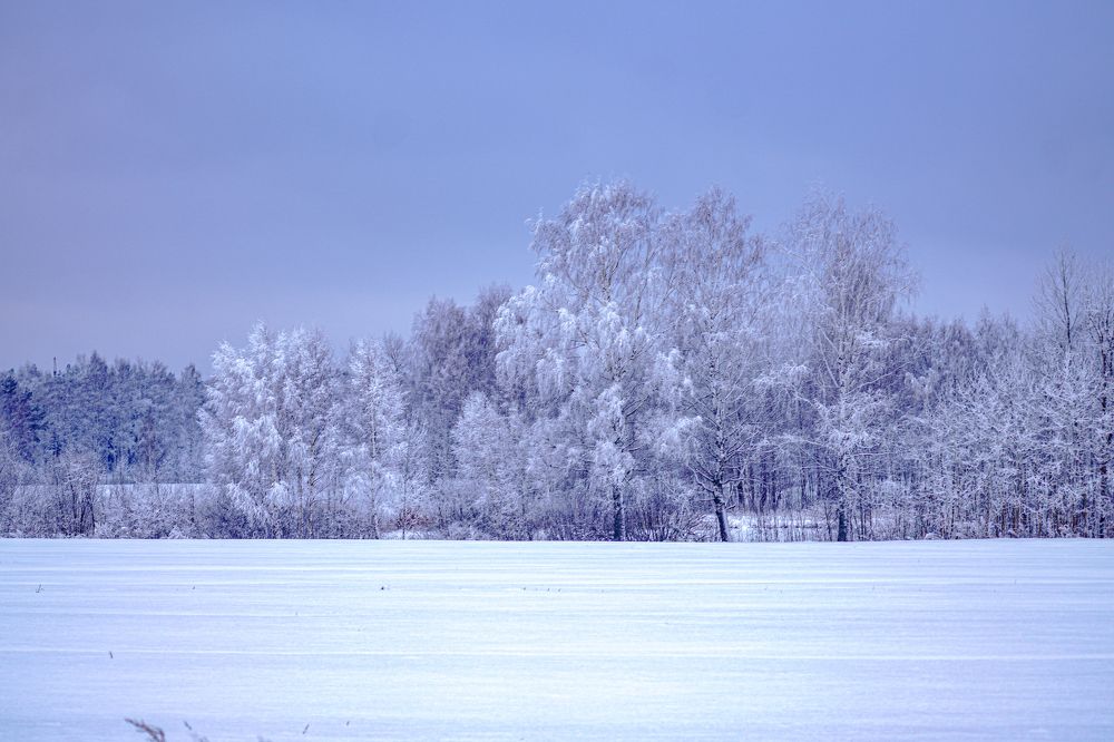 Photograph by Алфия Бугакова