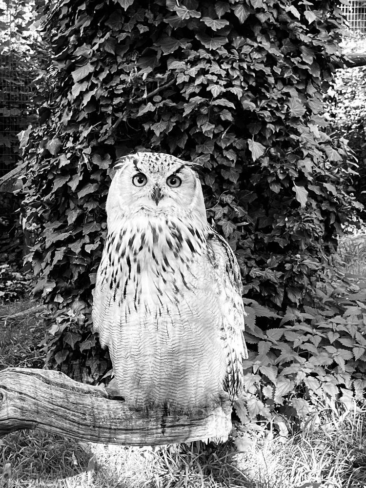 Фотография автора Ramin Ismayilov