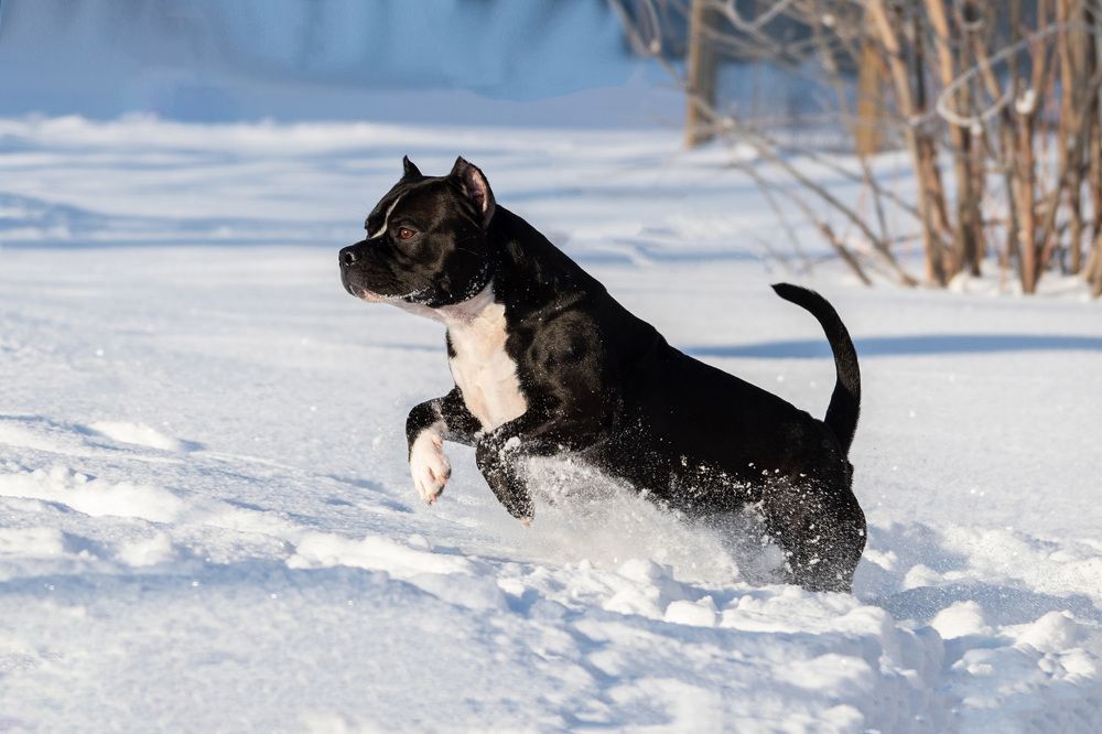 Photograph by Олеся Легостаева