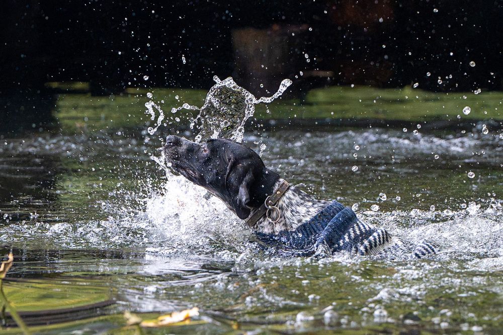 Photograph by Олеся Легостаева