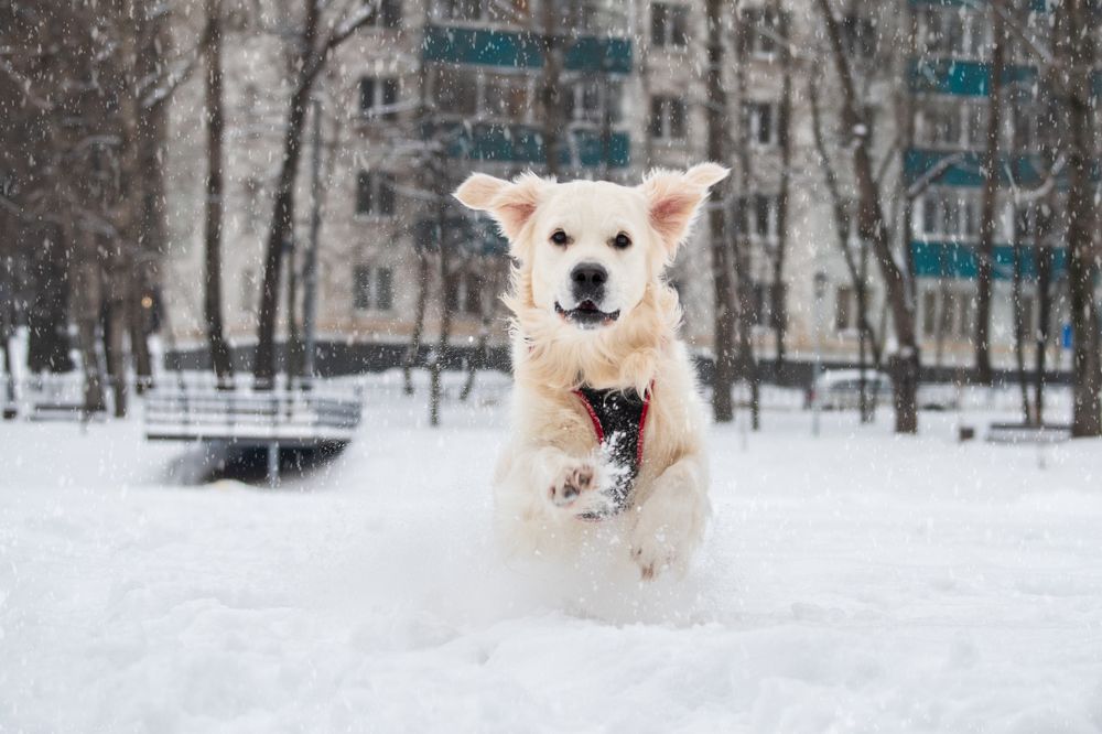 Photograph by Олеся Легостаева