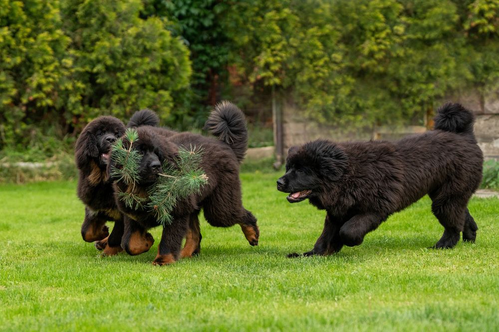 Photograph by Олеся Легостаева