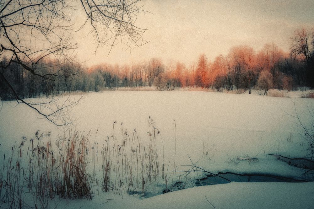 Photograph by Марина Пехтерева