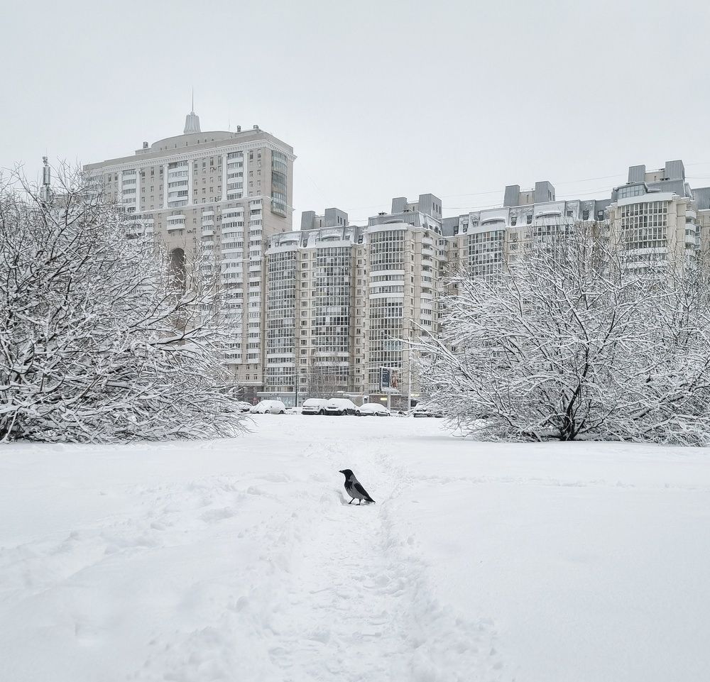 Photograph by Юлия Алексейчикова