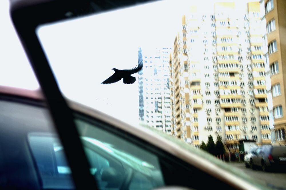 Photograph by АНДРЕЙ Роев