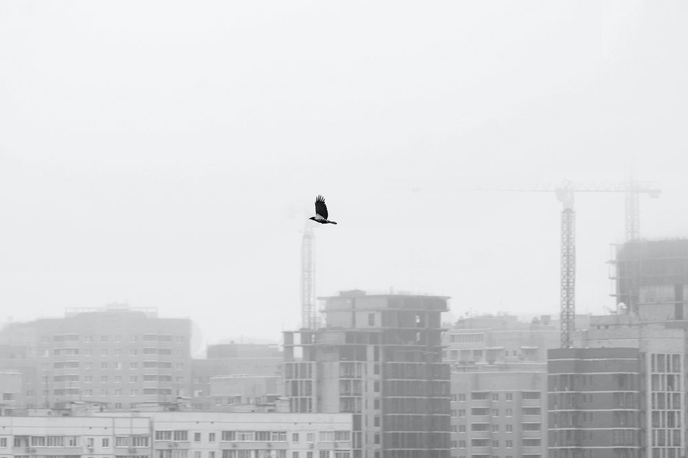 Photograph by АНДРЕЙ Роев