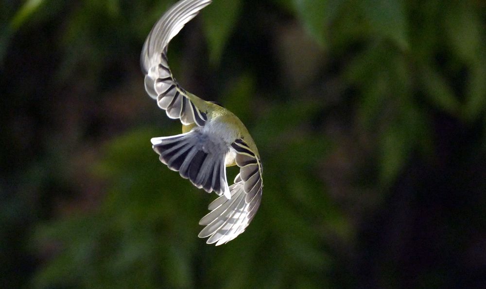 Photograph by Николай Орлов