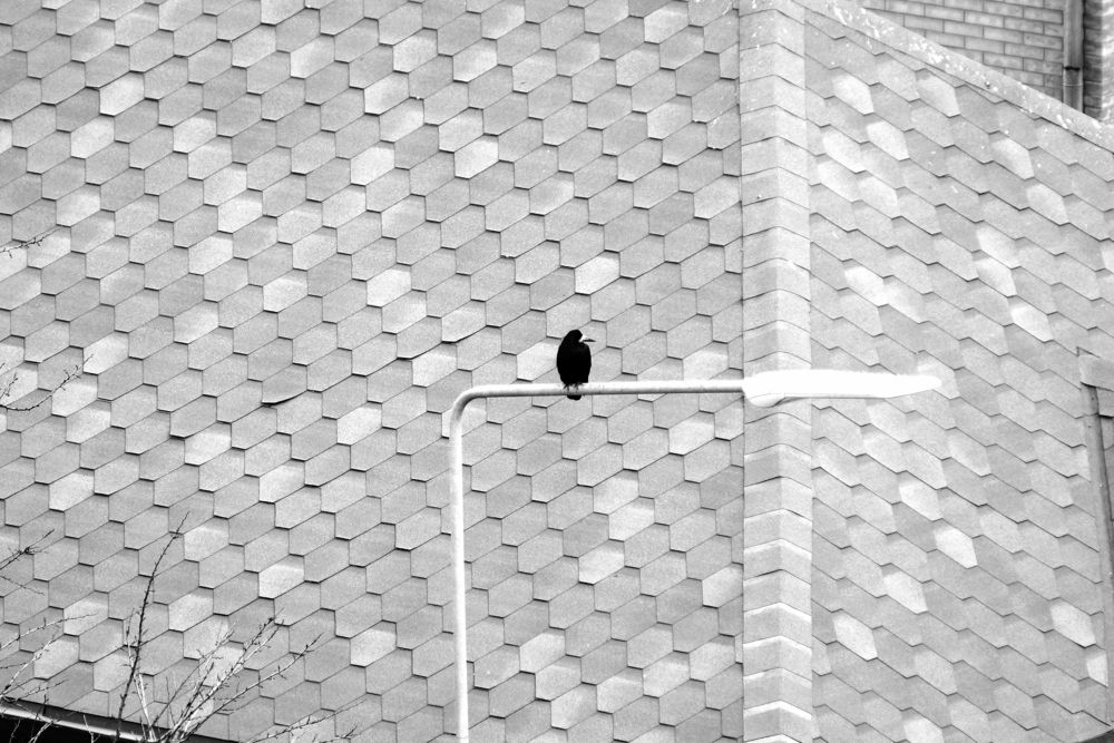 Photograph by АНДРЕЙ Роев