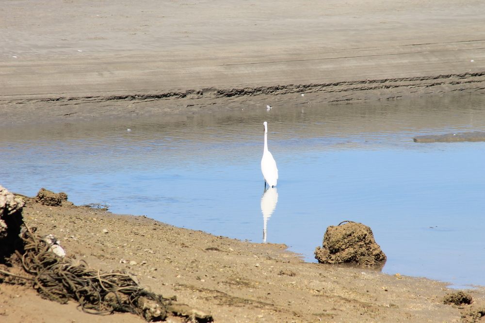 Photograph by Waleed Yousuf Alwahaibi