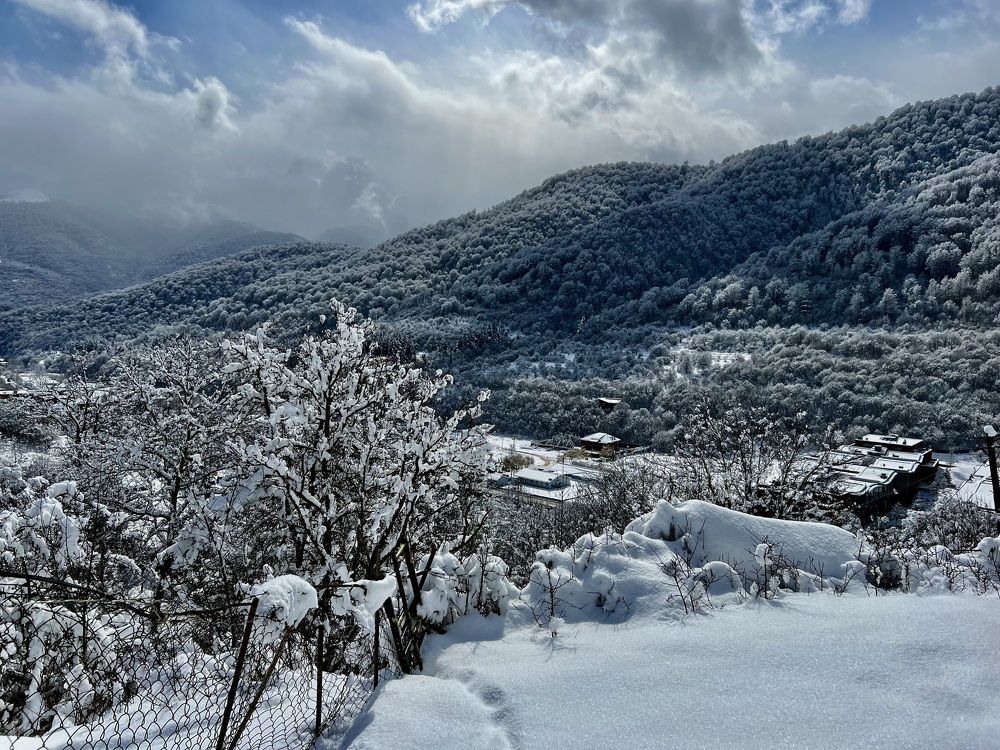 Photograph by Шестакова Наталья