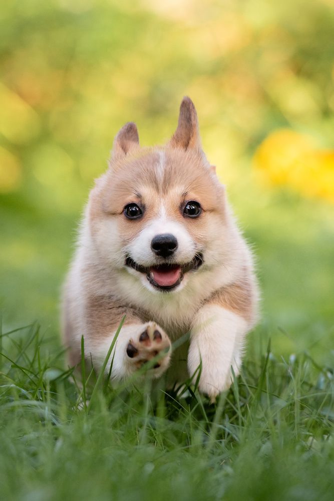 Photograph by Мария Иванушкина