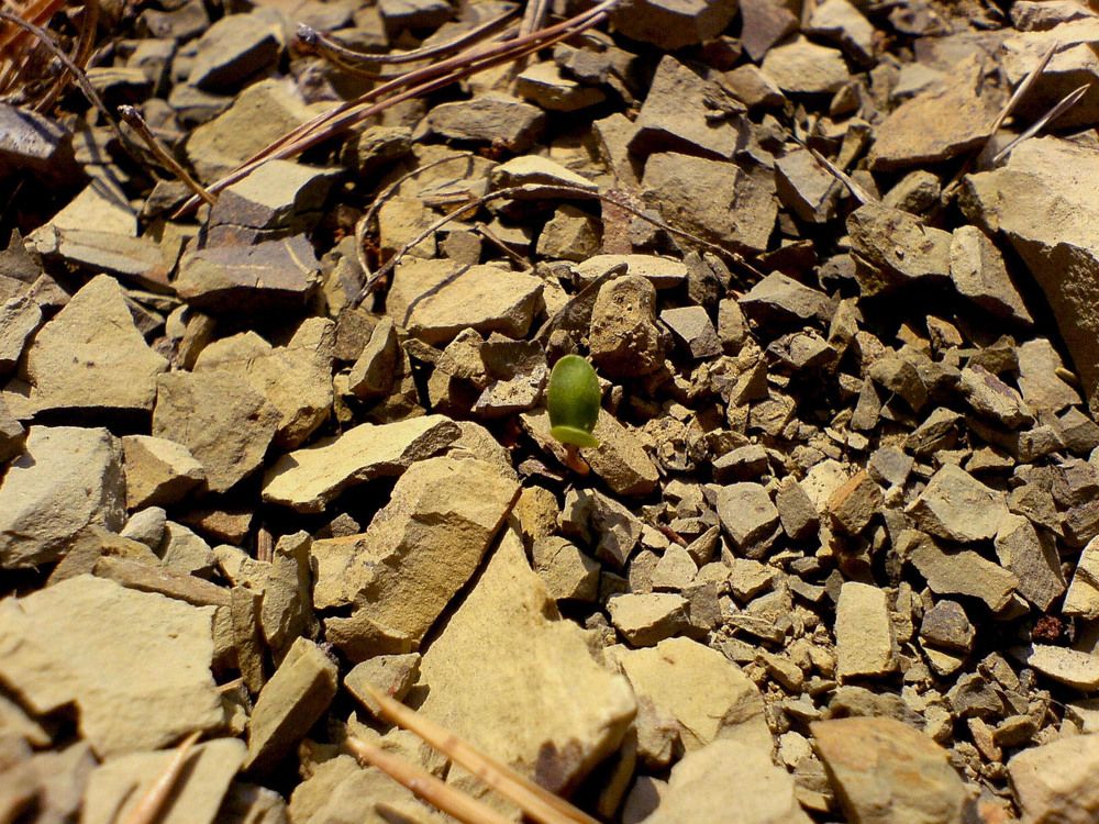 Photograph by Владимир Носов