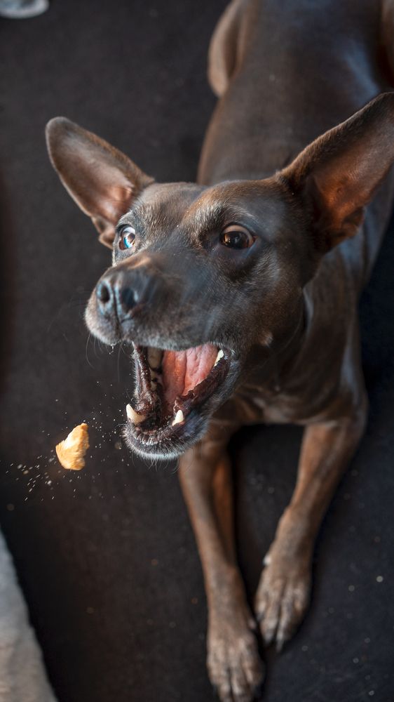 Photograph by Marko Župan