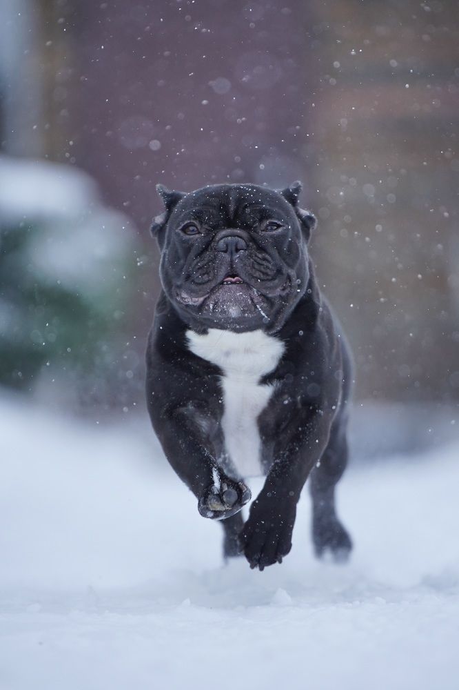 Photograph by Марина Аникина