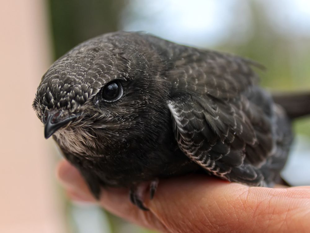 Photograph by Татьяна Феденкова