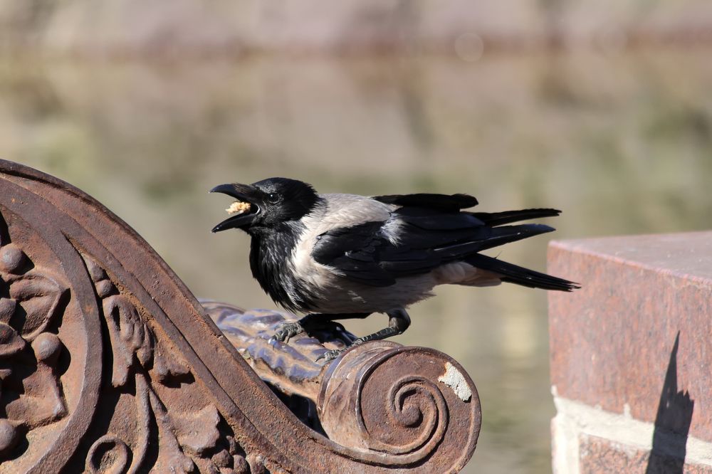 Photograph by Татьяна Феденкова