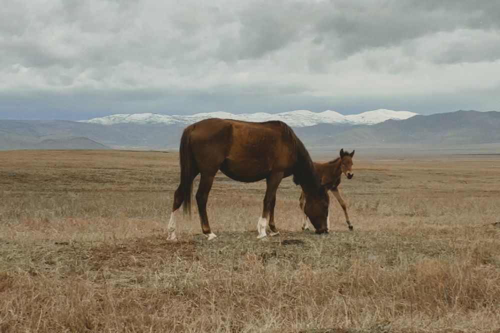 Photograph by Козинец Александр