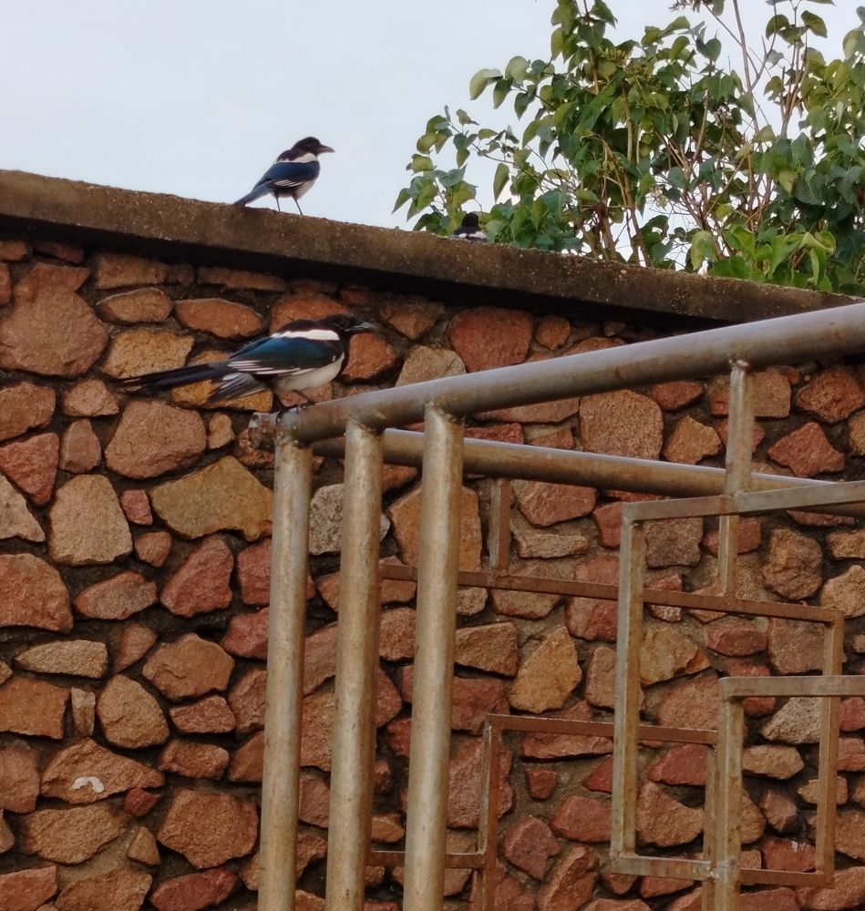 Фотография автора Наталья Драгун