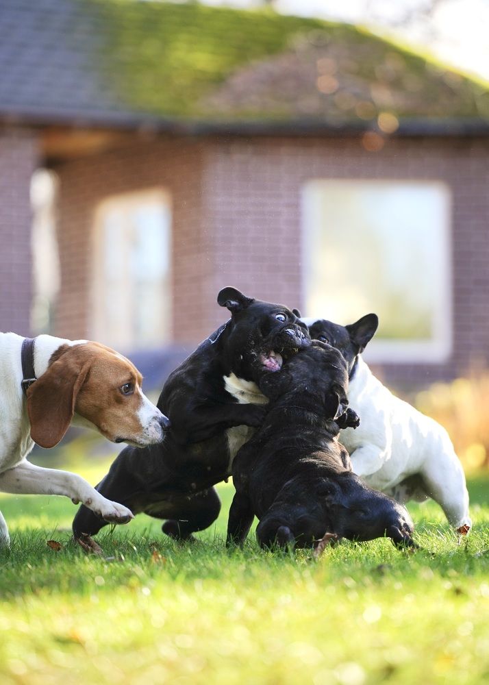 Photograph by Марина Аникина