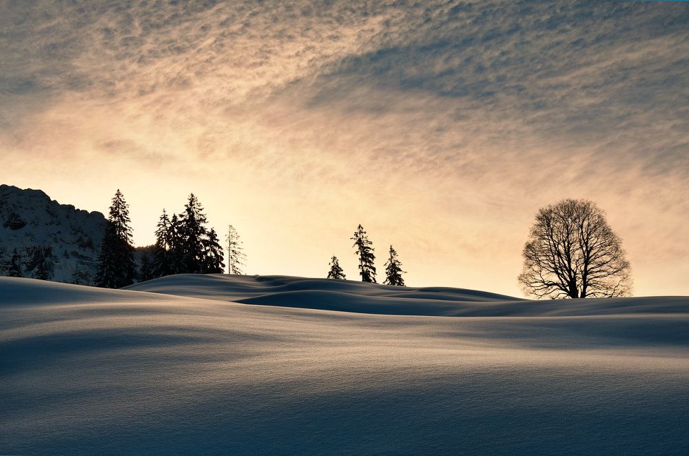 Photograph by Wymann Elena