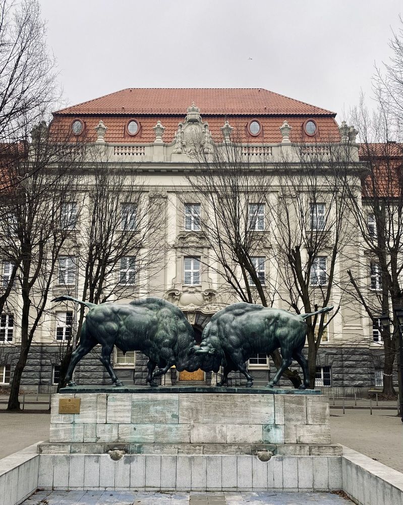 Photograph by Евгения Решетникова