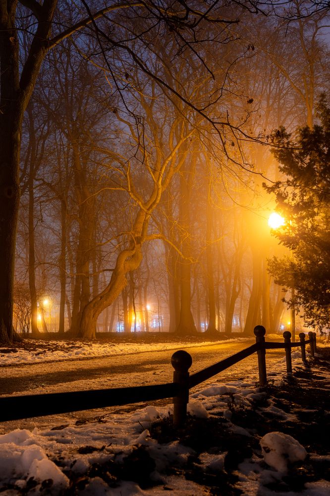 Photograph by Anton Leonchikov