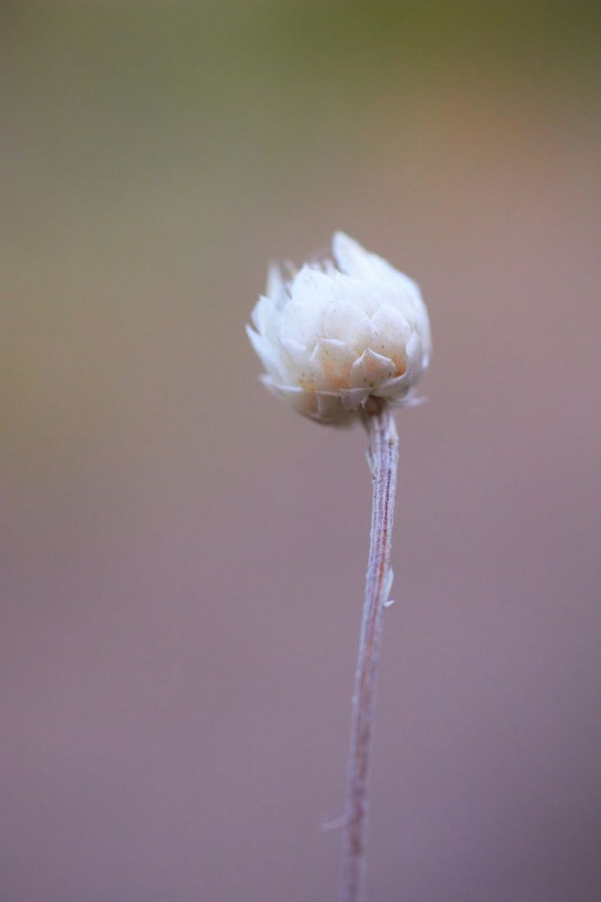 Фотография автора les Guy