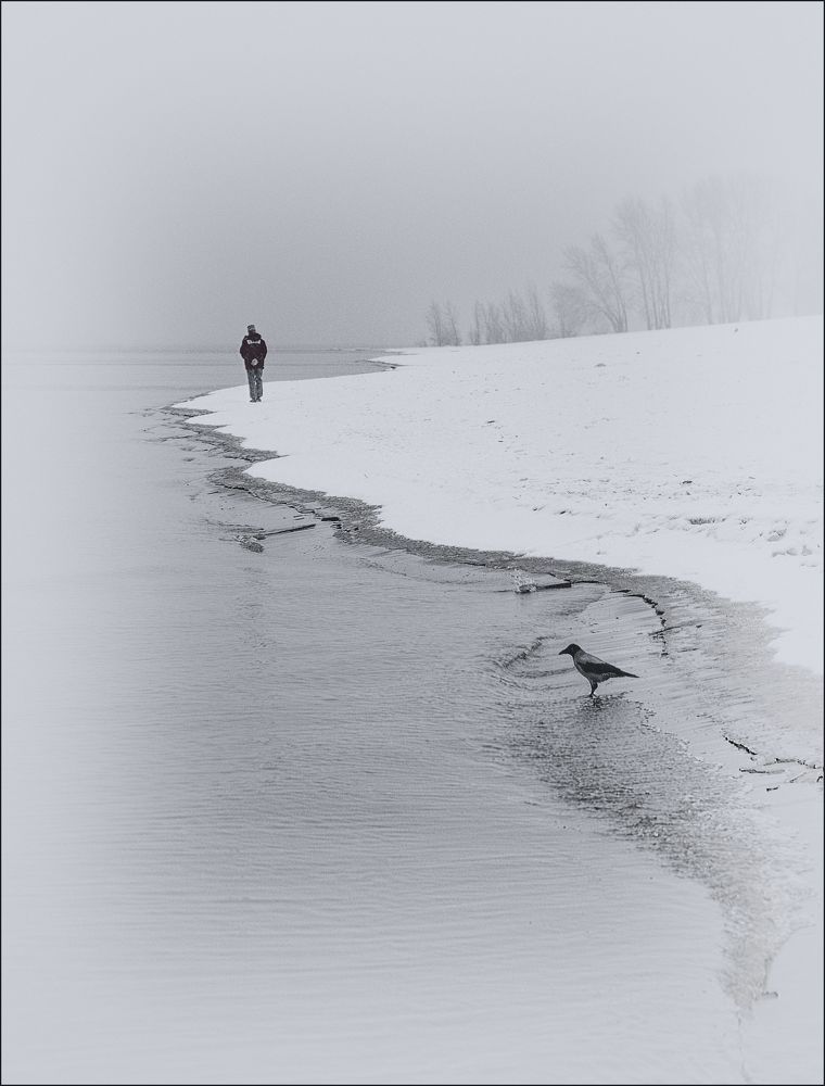 Photograph by Ирина Корпачева