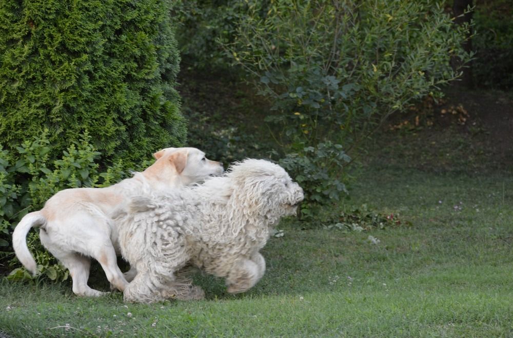 Photograph by Olja Simovic