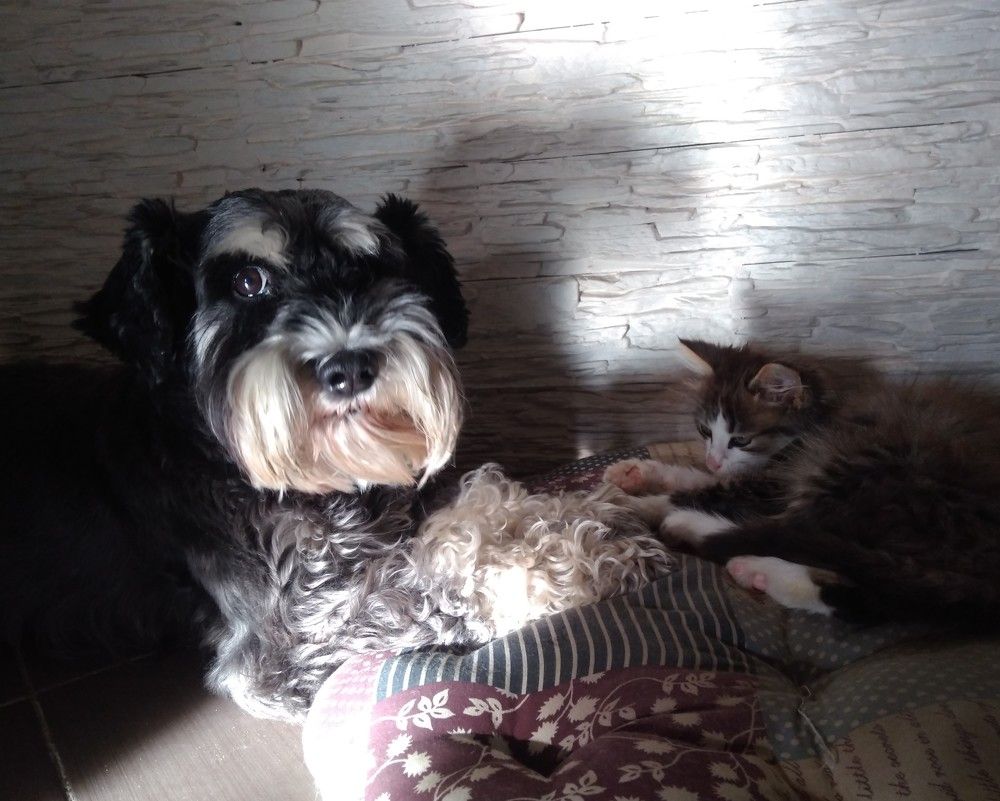 Photograph by Олег Черноокий