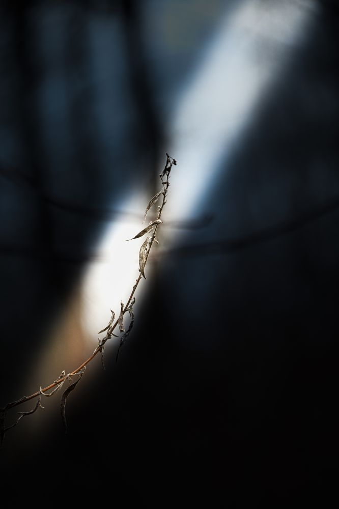 Photograph by Алексей Гончаров