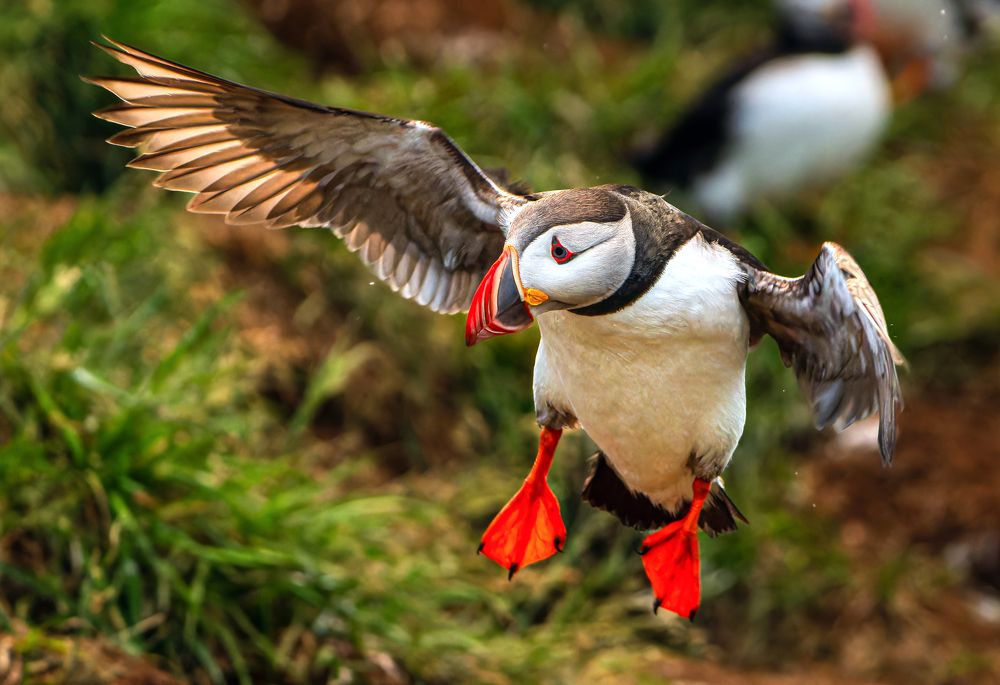 Photograph by Piotr Mickevic