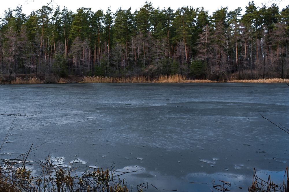 Photograph by Алексей Гончаров