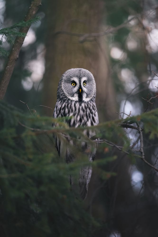 Photograph by Никита Филиппов