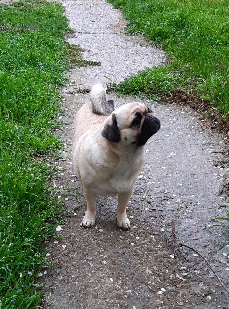 Photograph by Галина Глазкова