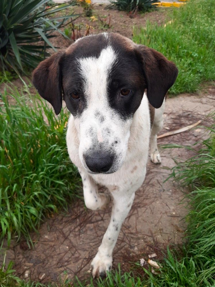 Photograph by Галина Глазкова