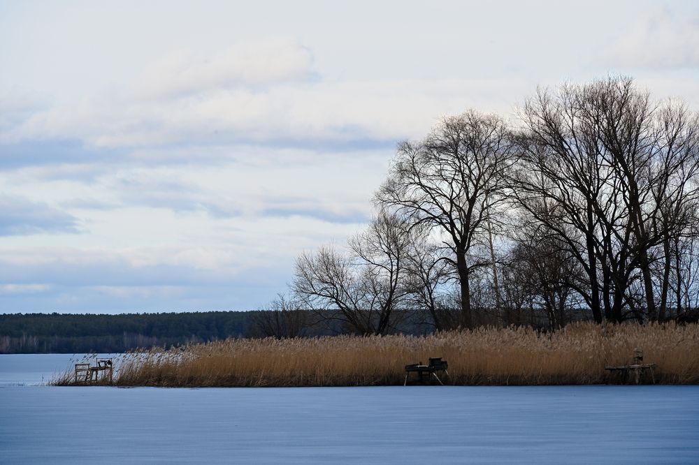 Photograph by Алексей Гончаров
