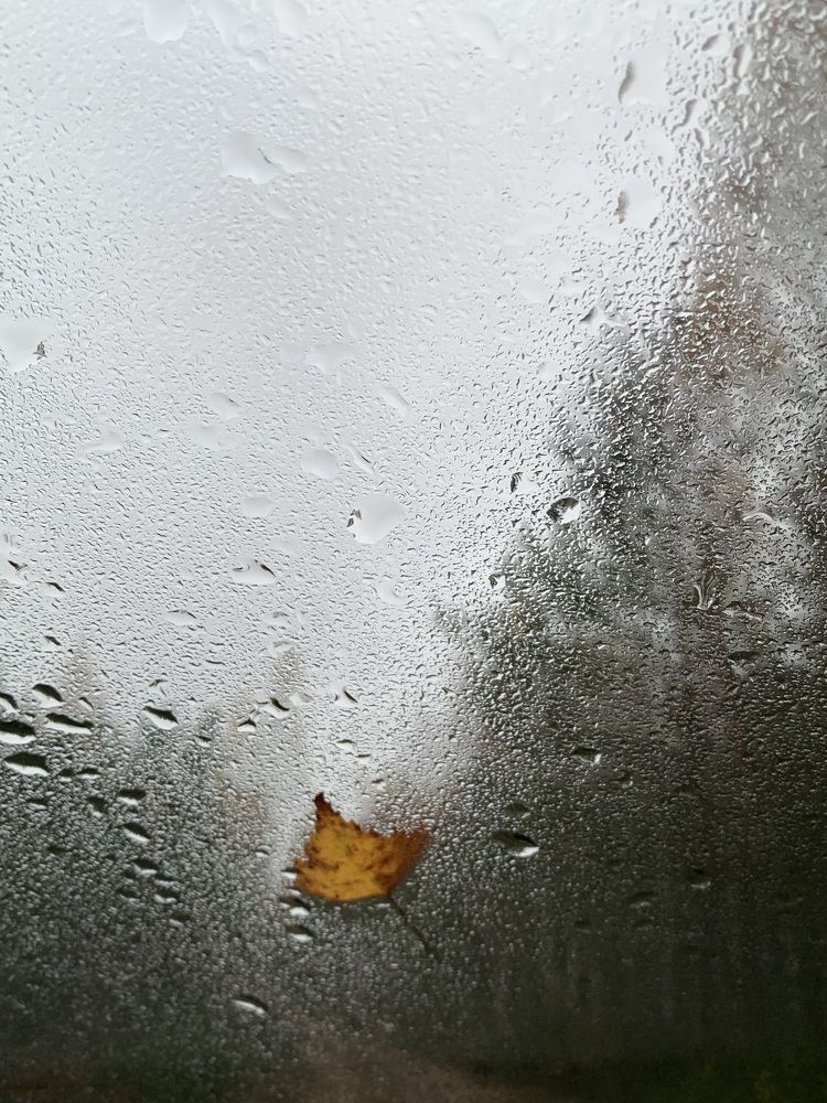 Фотография автора Ирина Шпаковская