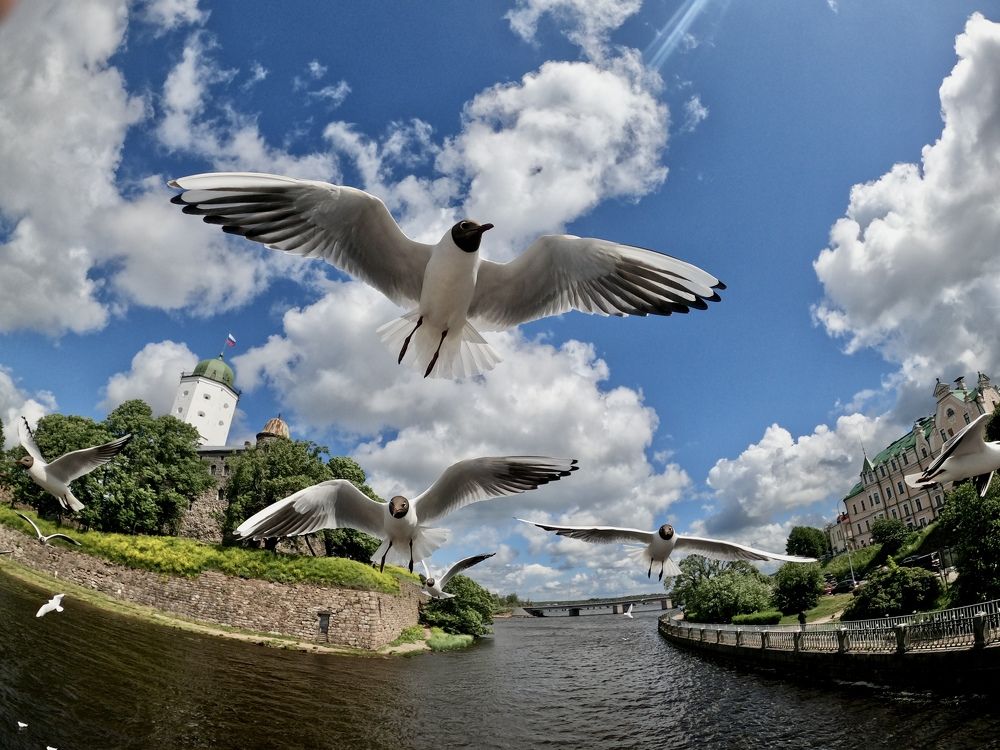 Фотография автора Никита Филиппов