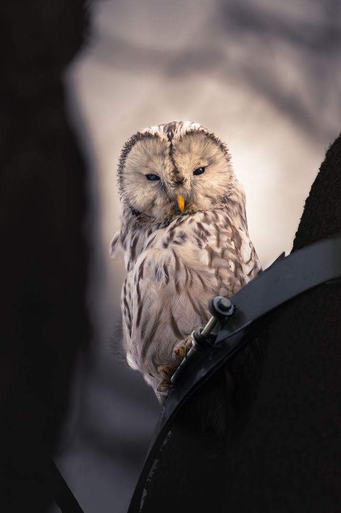 Фотография автора Никита Филиппов