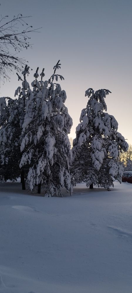 Photograph by Александр Соколов
