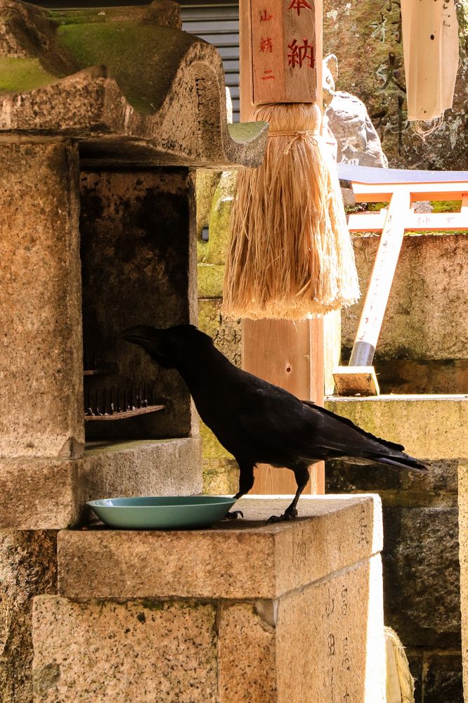 Photograph by Валерия Лунина