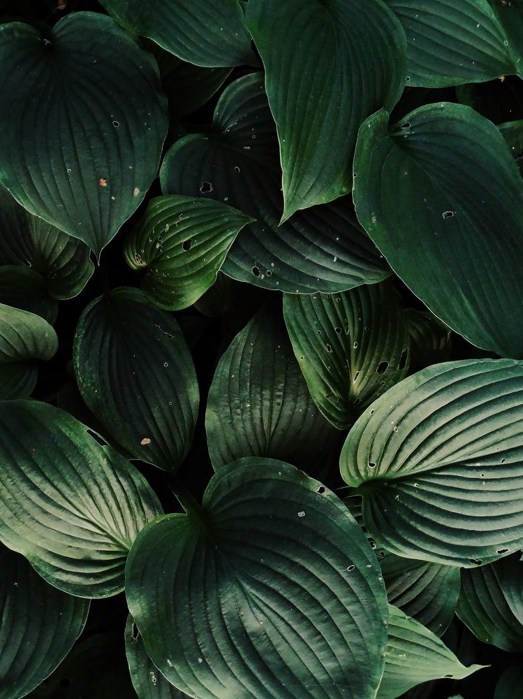 Photograph by Anastasiya Danilova