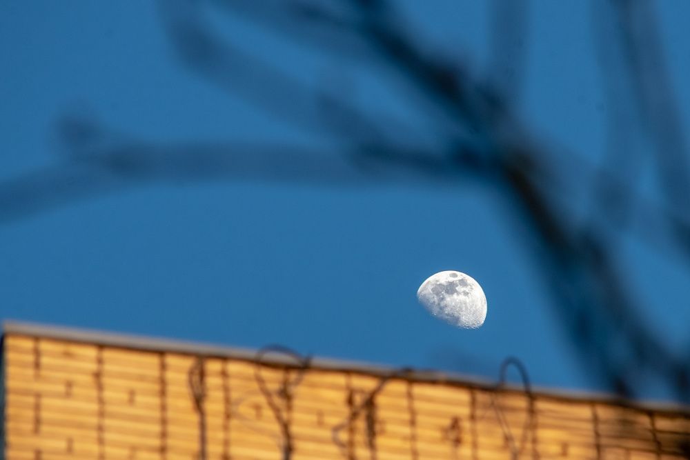 Photograph by Мамсур