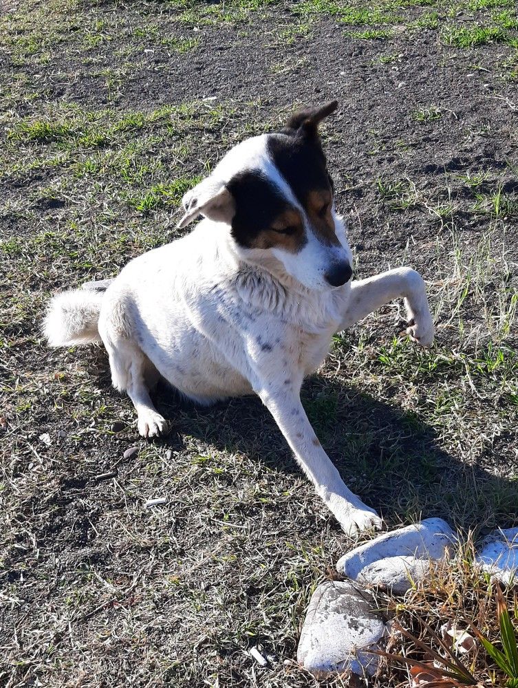 Photograph by Галина Глазкова