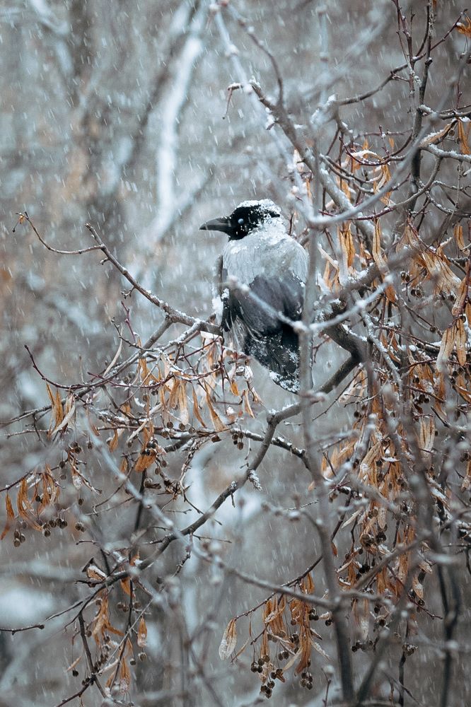 Photograph by Светлана